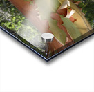 Madrona tree trunk with peeling bark Acrylic print