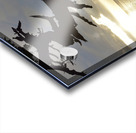 Calm sunset - James Island - San Juan Islands Acrylic print