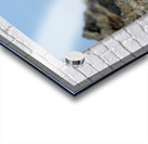 Blue-footed Booby Sula nebouxii on rocks Punta Moreno Isabela Island Galapagos Islands Ecuador Acrylic print