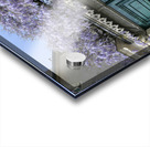 Green door with Wisteria plant in bloom. Nevers Nievre. France Acrylic print