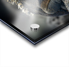 KO EC 9612 Acrylic print