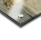 KO EC 13710 Acrylic print