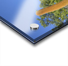 KO EC 8313 Acrylic print