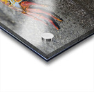 KO EC 10178 Acrylic print