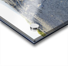 Group of Marine Iguanas on the sand. Punta Espinosa. Fernandina Island. Galapagos Islands. Ecuador Acrylic print