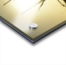 KO EC 8925 Acrylic print