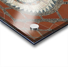 KO EC 14705 Acrylic print