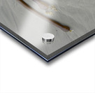 Bull kelp Florencia Beach Pacific Rim National Park Acrylic print