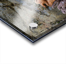 Sea stars on the rocks at Tonquin Beach Tofino Acrylic print