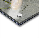 Chesterman Beach Vancouver Island British Columbia Acrylic print