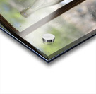 KO B40650 Acrylic print