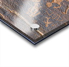 Ancient petroglyphs showcasing animal figures and geometric designs Crane Petroglyph Site Verde Valley Arizona Acrylic print