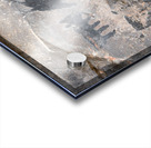 Black petroglyphs of animals Palatki Ruins Arizona USA Acrylic print