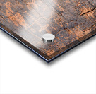 Petroglyphs in Valley of Fire State Park Nevada USA Acrylic print