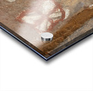 Petroglyphs at the Palatki Ruins Arizona USA Acrylic print