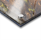 Ancient petroglyphs showcasing animal figures and geometric designs Crane Petroglyph Site Verde Valley Arizona Acrylic print