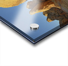 KO B76960 Acrylic print