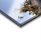 KO A11560 Acrylic print