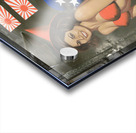 KO B79666 Acrylic print