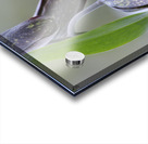 KO A48342a Acrylic print