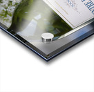 Fleury sur Loire Burgundy France Acrylic print