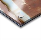 Rhyolite Nevada USA Acrylic print