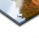 DeCourcy Island British Columbia Canada Acrylic print