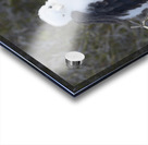 KO EC 14270 Acrylic print