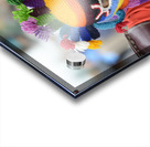 Man doing traditional dance while Quito celebrates the anniversary of its Spanish foundation Plaza de Santo Domingo Quito Ecuador Acrylic print