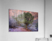 Zion National Park Utah Acrylic Print