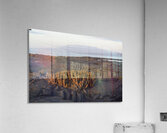 Lava Cactus Acrylic Print