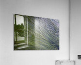 Eel grass in a tide pool Acrylic Print