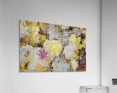 KO A04679 1 Acrylic Print