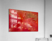 KO 50411 1 Acrylic Print