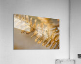 KO 50457 1 Acrylic Print