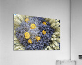 Dried roses and lavender flowers at market - Lourmarin Acrylic Print