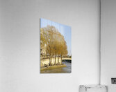 Enjoying a warm spring day on the banks of the Seine River - Paris Acrylic Print