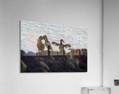 Flightless Cormorants Phalacrocorax harrisi stretching their wings Punta Espinosa Fernandina Island Galapagos Islands Ecuador Acrylic Print