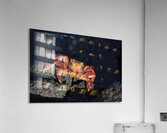 Sally Lightfoot crab Grapsus grapsus on black lava Punta Espinosa Fernandina Island Galapagos  Islands Ecuador Acrylic Print