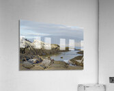 Sally lightfoot crabs on a rocky beach at Punta Espinosa Fernandina Island Galapagos Islands Ecuador
 Acrylic Print