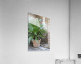 The Alhambra Granada Andalusia Spain Acrylic Print