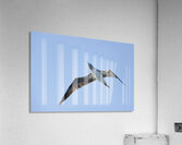 Blue footed Booby Sula nebouxii Punta Moreno Isabela Island Galapagos Islands Ecuador Acrylic Print