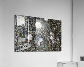 Detail image of rocks and shells on the beach Acrylic Print