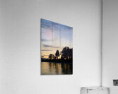 Silhouetted trees at sunset Acrylic Print