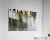 Trees reflected in the ocean Acrylic Print