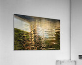 Trees reflected in the ocean Acrylic Print