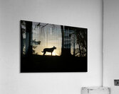 Large dog silhouetted at sunset - Wallace Island Acrylic Print