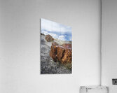 KO A98145 Acrylic Print