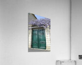 Green door with Wisteria plant in bloom. Nevers Nievre. France Acrylic Print