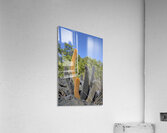 KO EC 8313 Acrylic Print